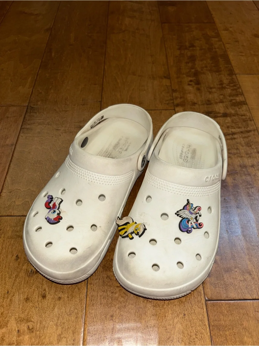 Well Worn/Used Croc Shoes